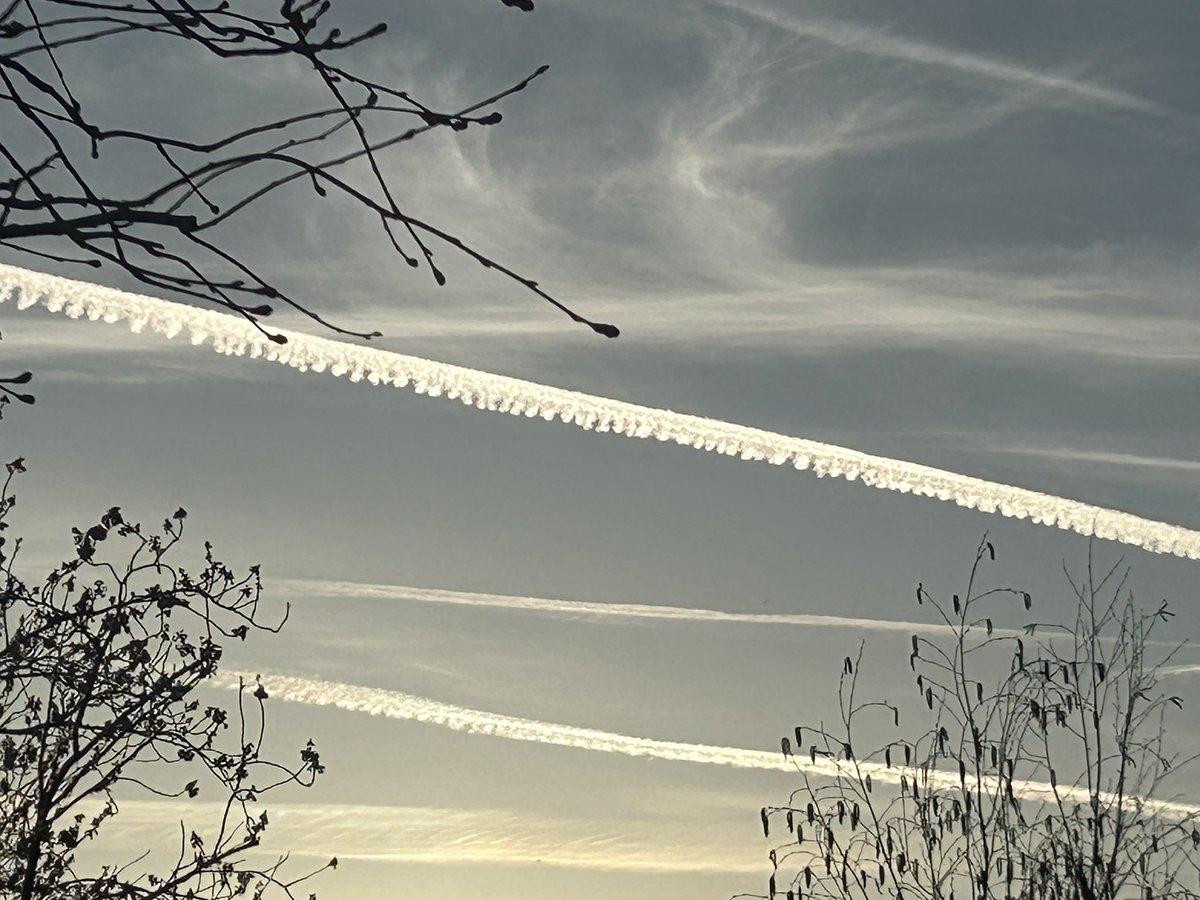 @ChatsWithEm tweet media