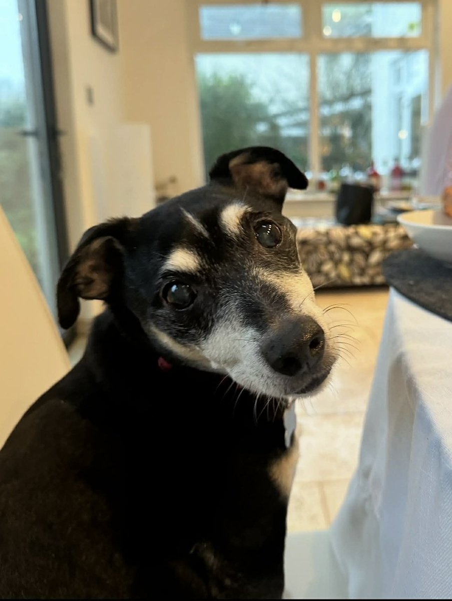 chris towers tweet media