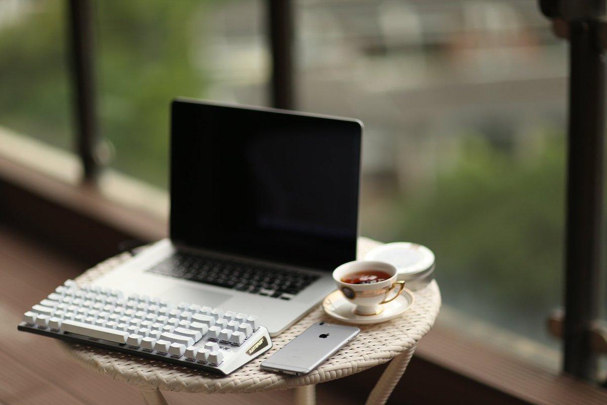 Ольга Ермилина tweet media