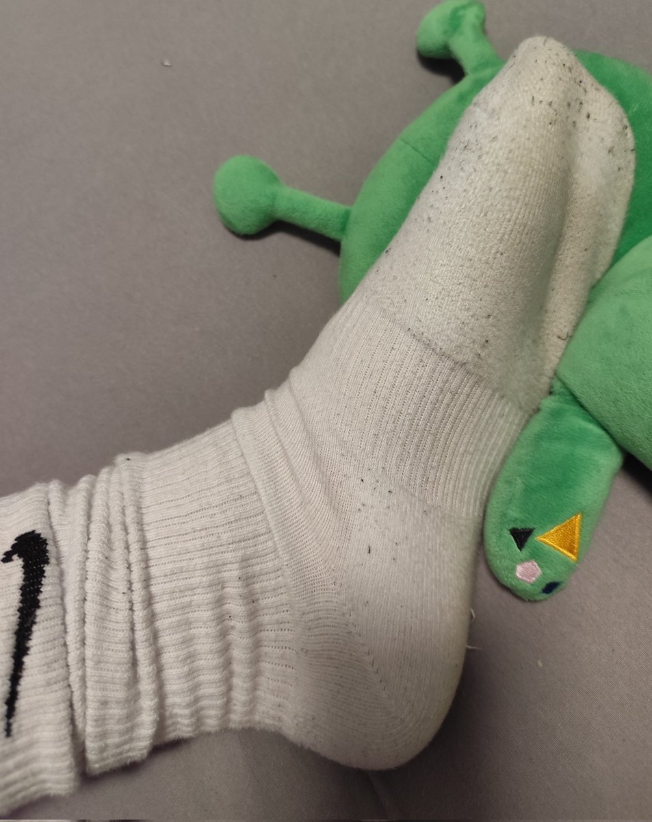 Sasha 🐾 tweet media