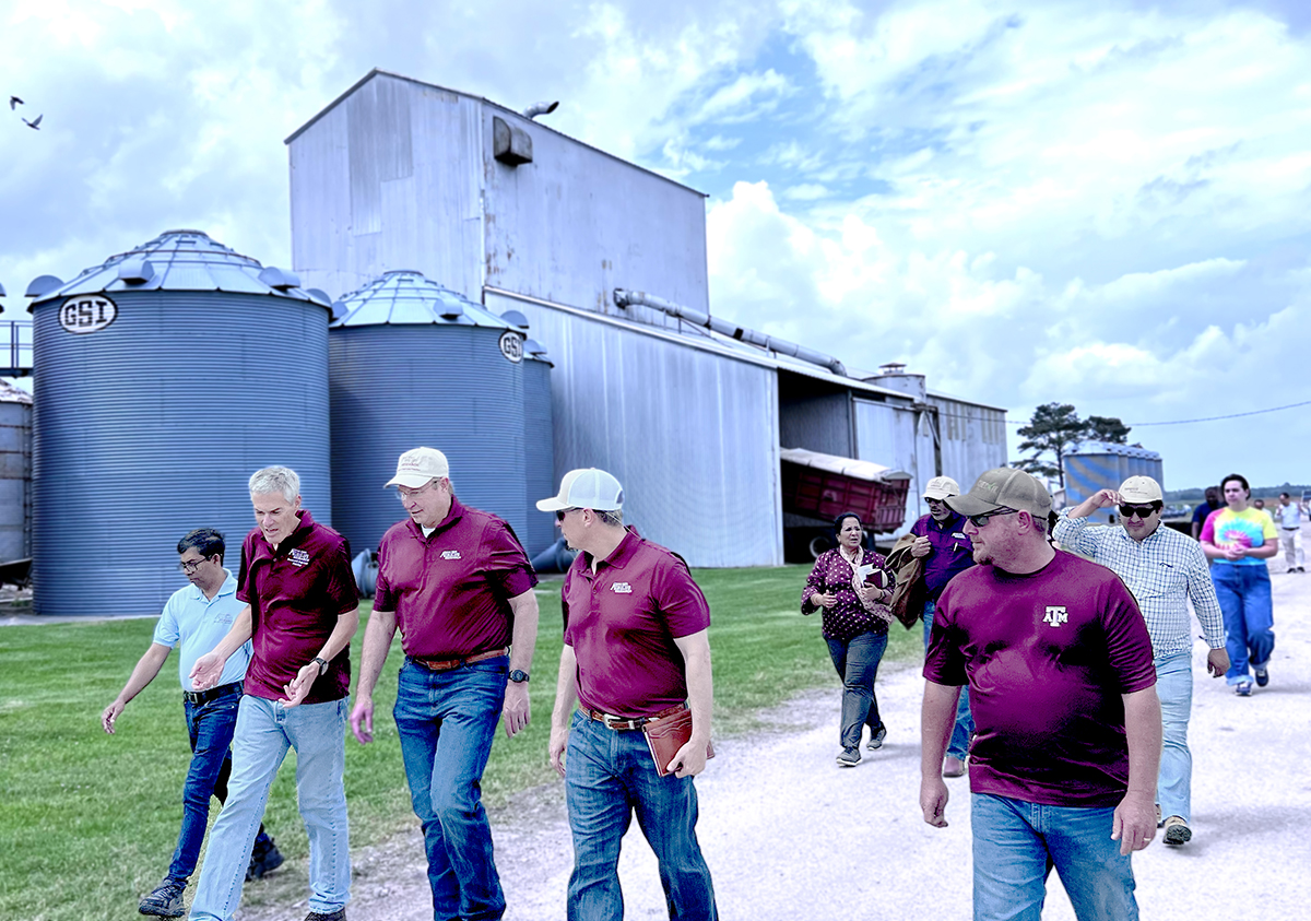 Texas A&M AgriLife Research tweet media
