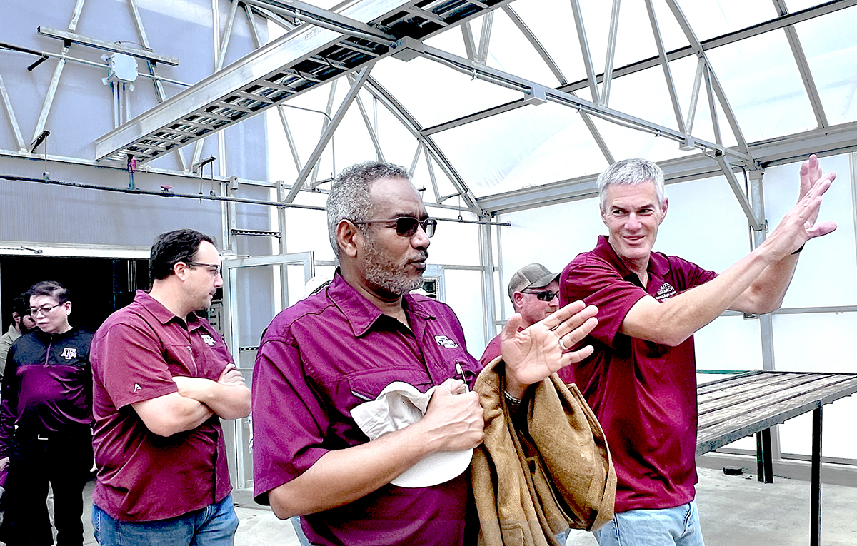 Texas A&M AgriLife Research tweet media