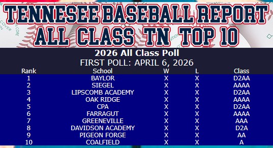 TN Baseball Report tweet media