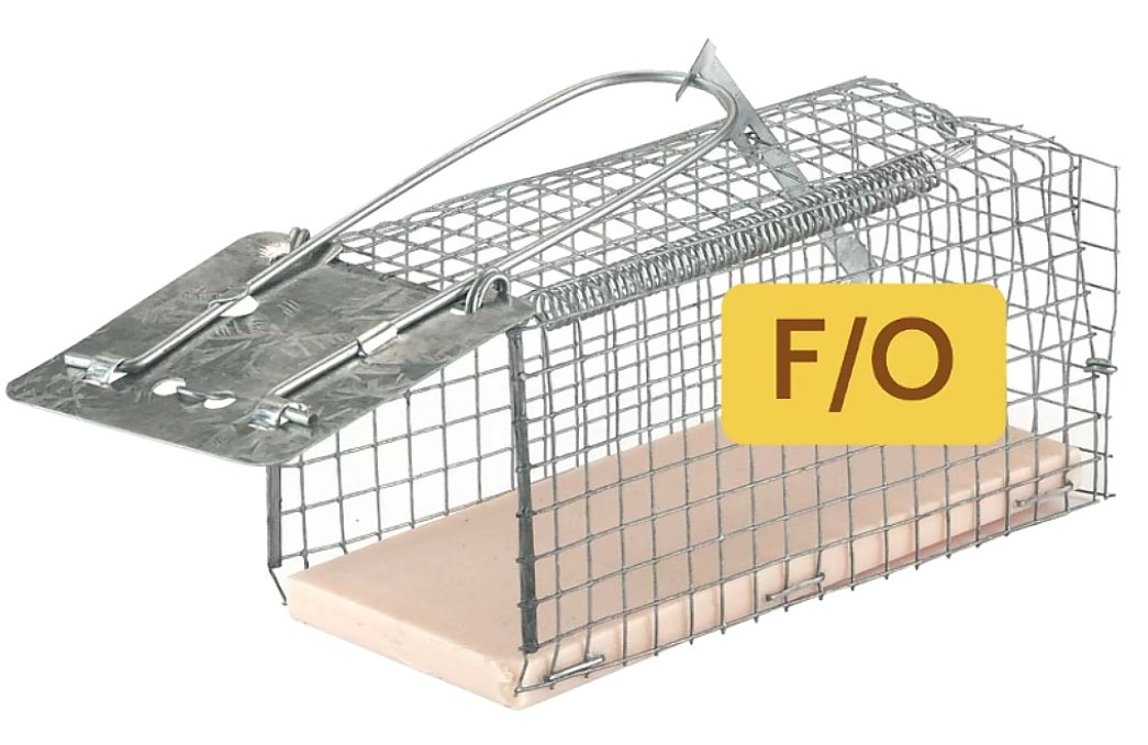 NOT SPOILER FREE ❄️ Kae ♡ Cole’s Lover 🌅 tweet media