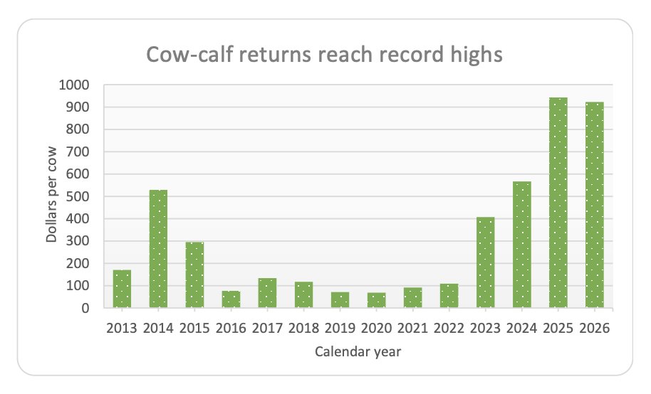 FarmPolicy's tweet image. In contrast to the crop sector, #cattle #prices have increased as cattle inventories and beef supplies have contracted. Strong cattle returns offset weak crop returns in determining #farm #income in 2025 and 2026.

From @FAPRI_MU: tinyurl.com/mryhe27y