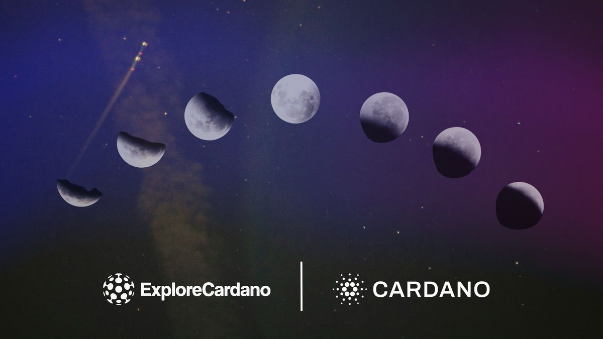 Explore Cardano tweet media