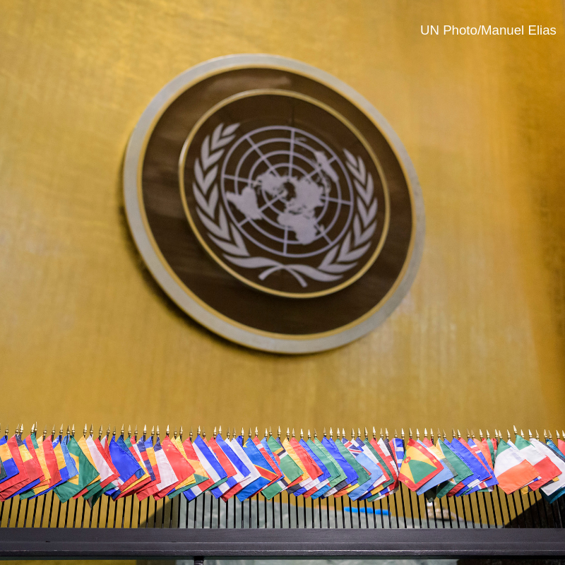 UN Library tweet media