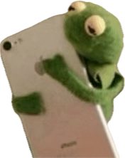 🦝 Babs 🦝 tweet media