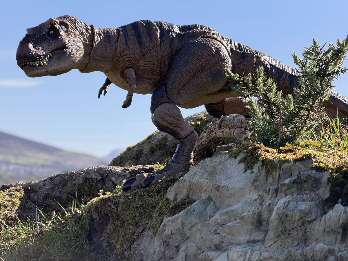 Gavin (@gav_gavo) on Twitter photo 