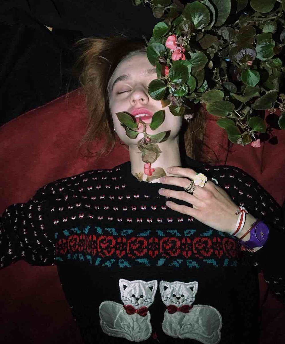 Jordan Stewart tweet media