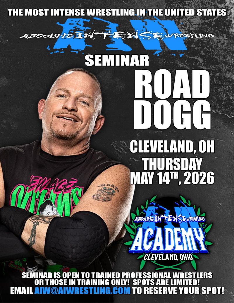 Absolute Intense Wrestling tweet media
