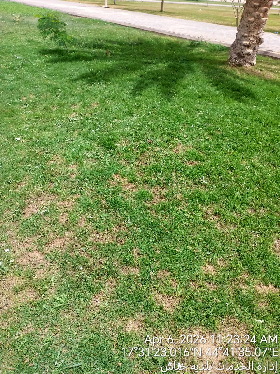 بلدية محافظة خباش tweet media