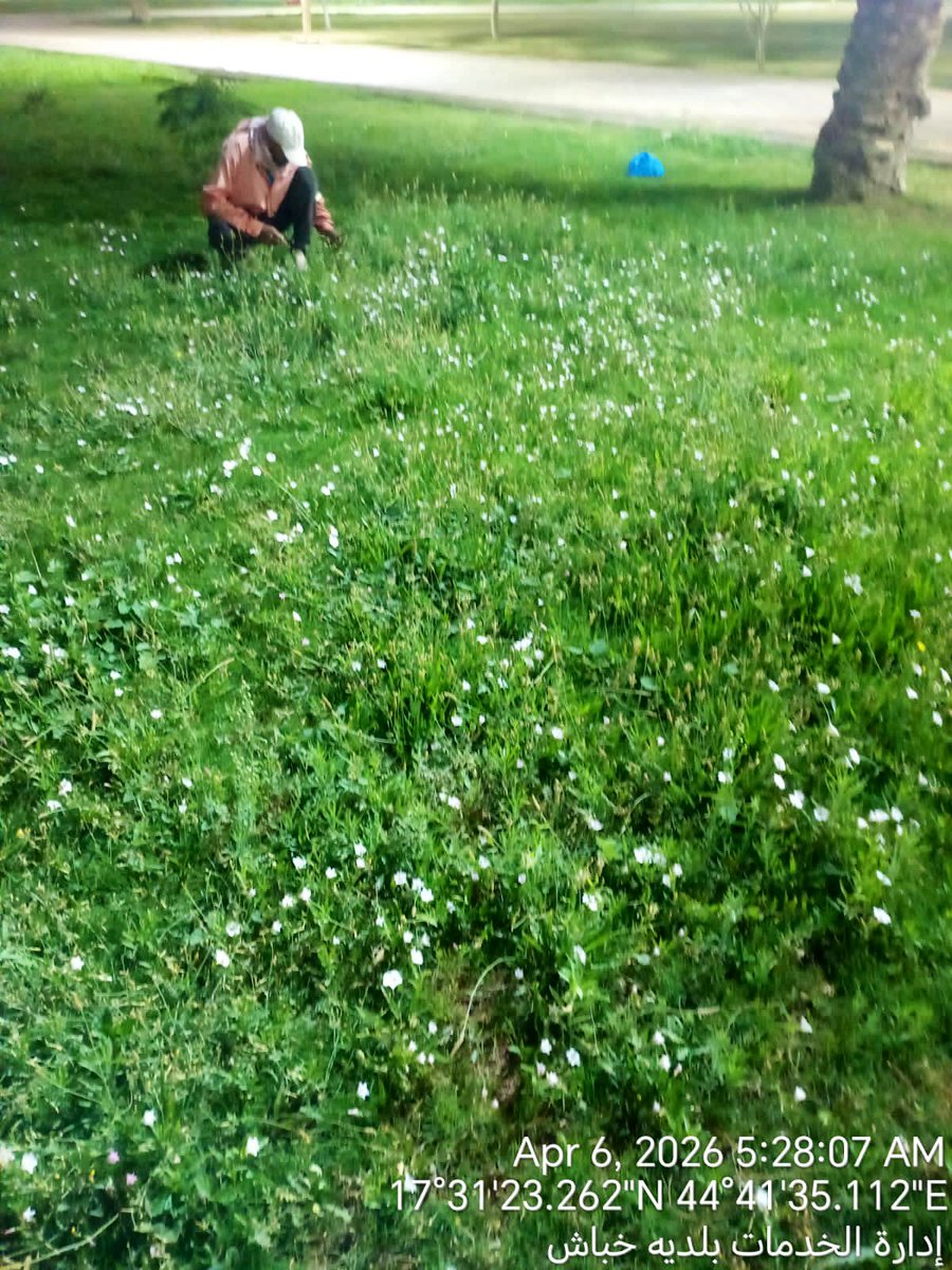 بلدية محافظة خباش tweet media