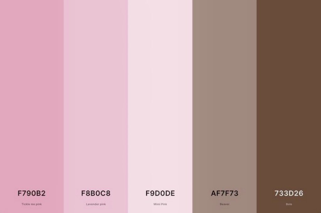 ♪⃣ 𓈒 ݁ 𓏲𝄢 tweet media