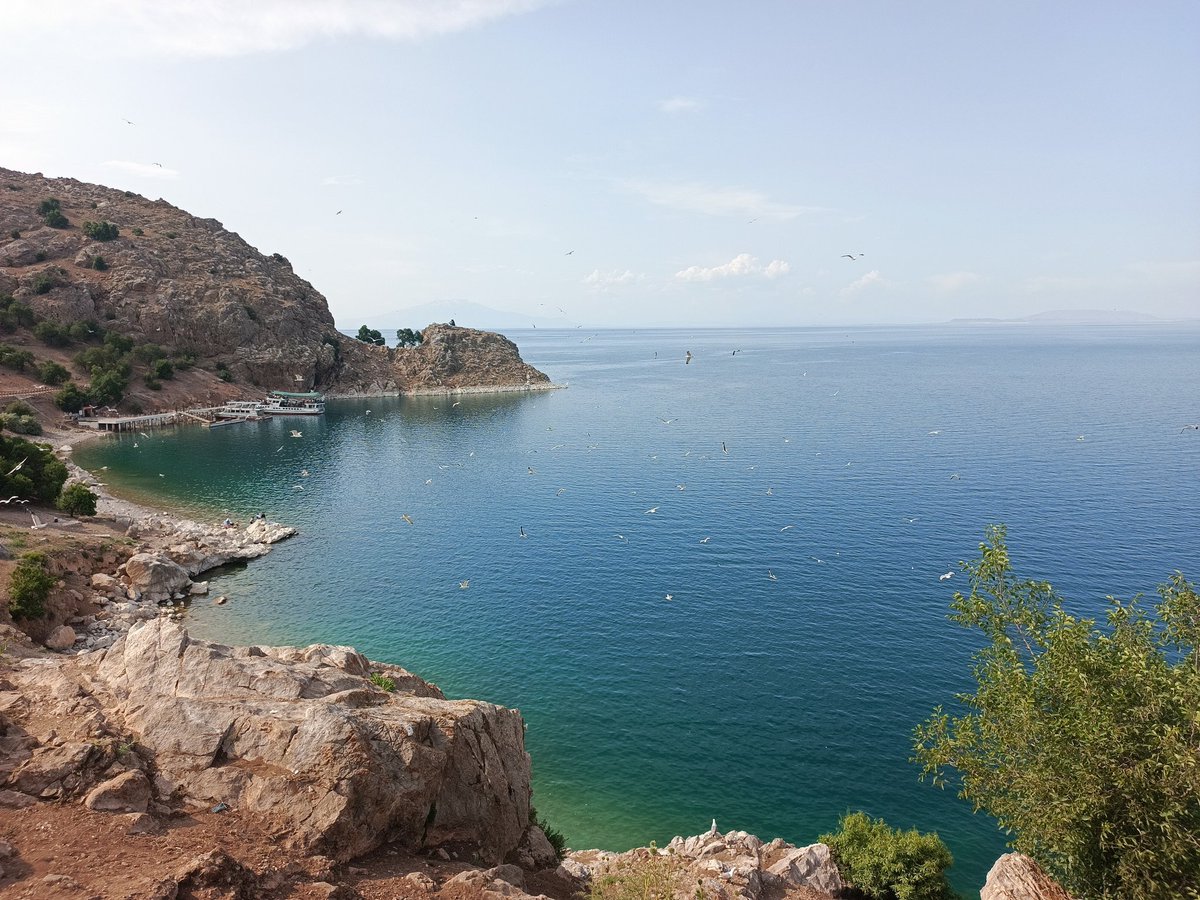 Yuسuf İsلam tweet media