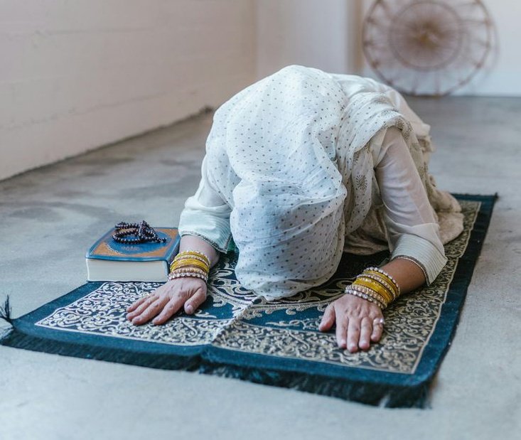 zero point tweet media