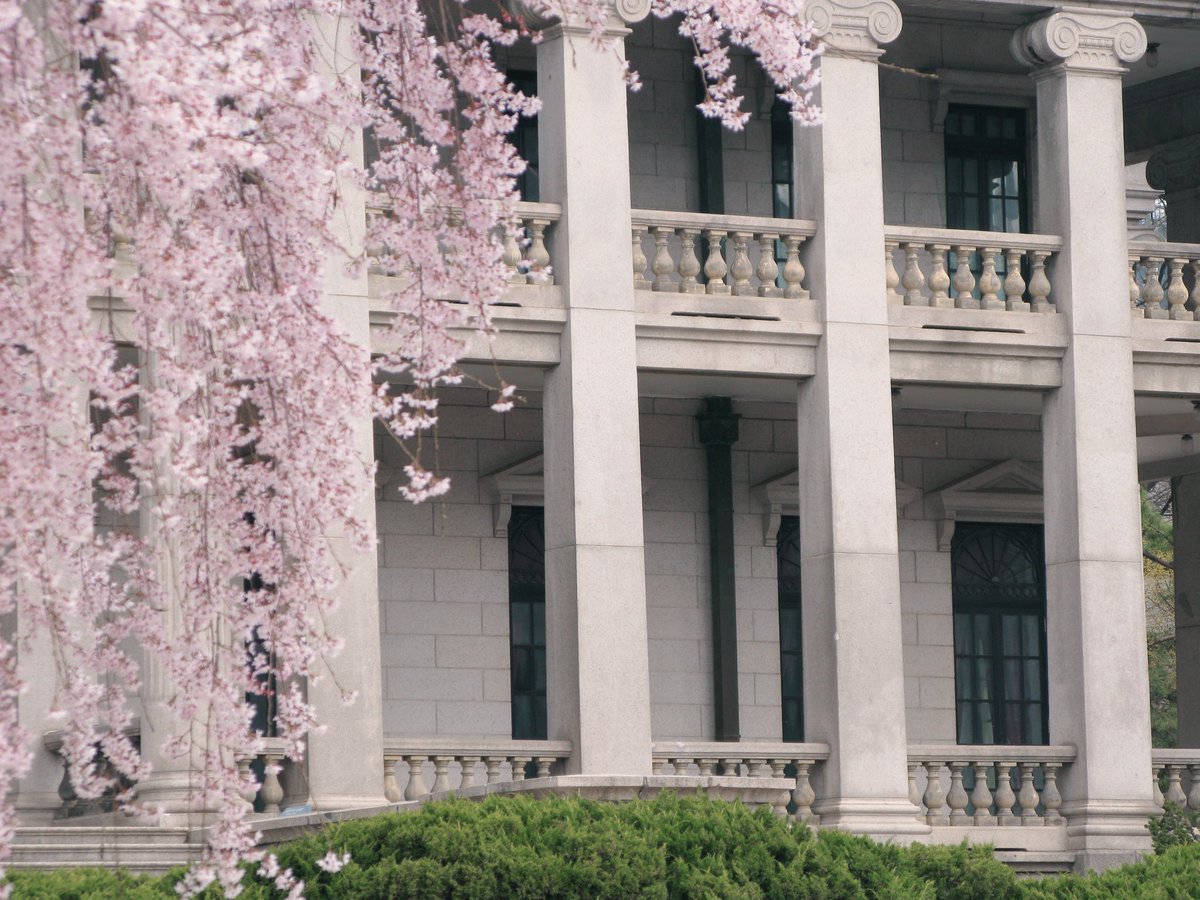 새파란 tweet media