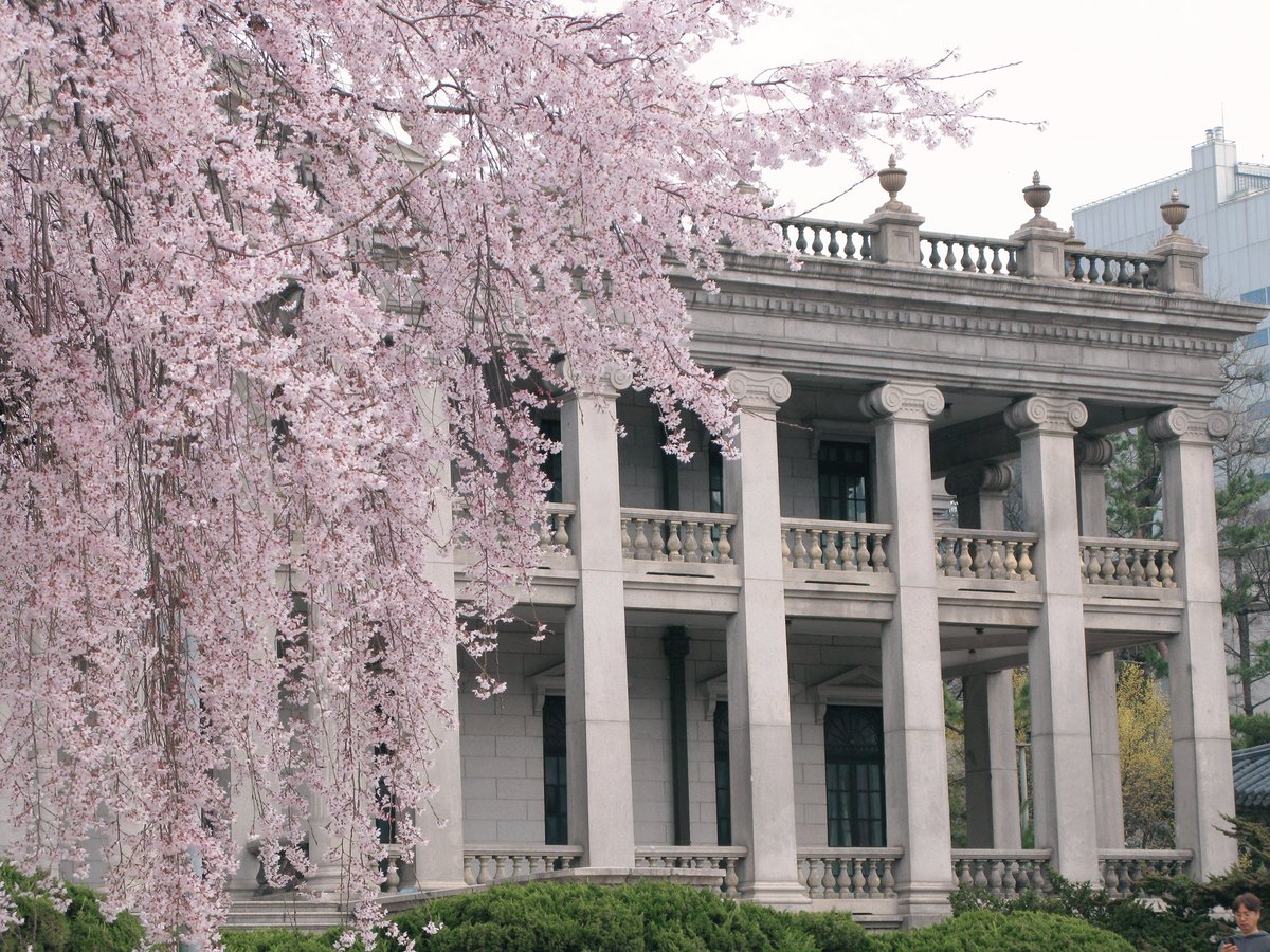 새파란 tweet media