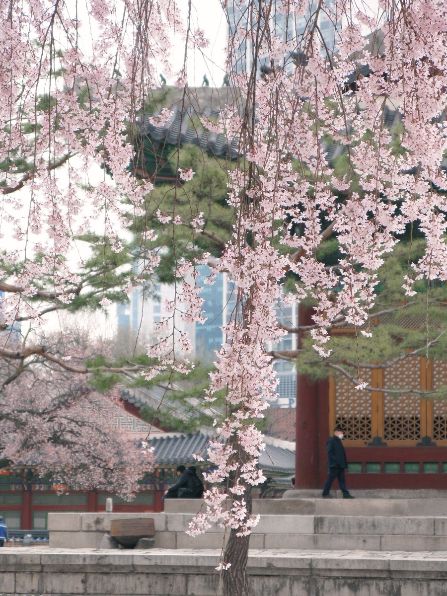 새파란 tweet media