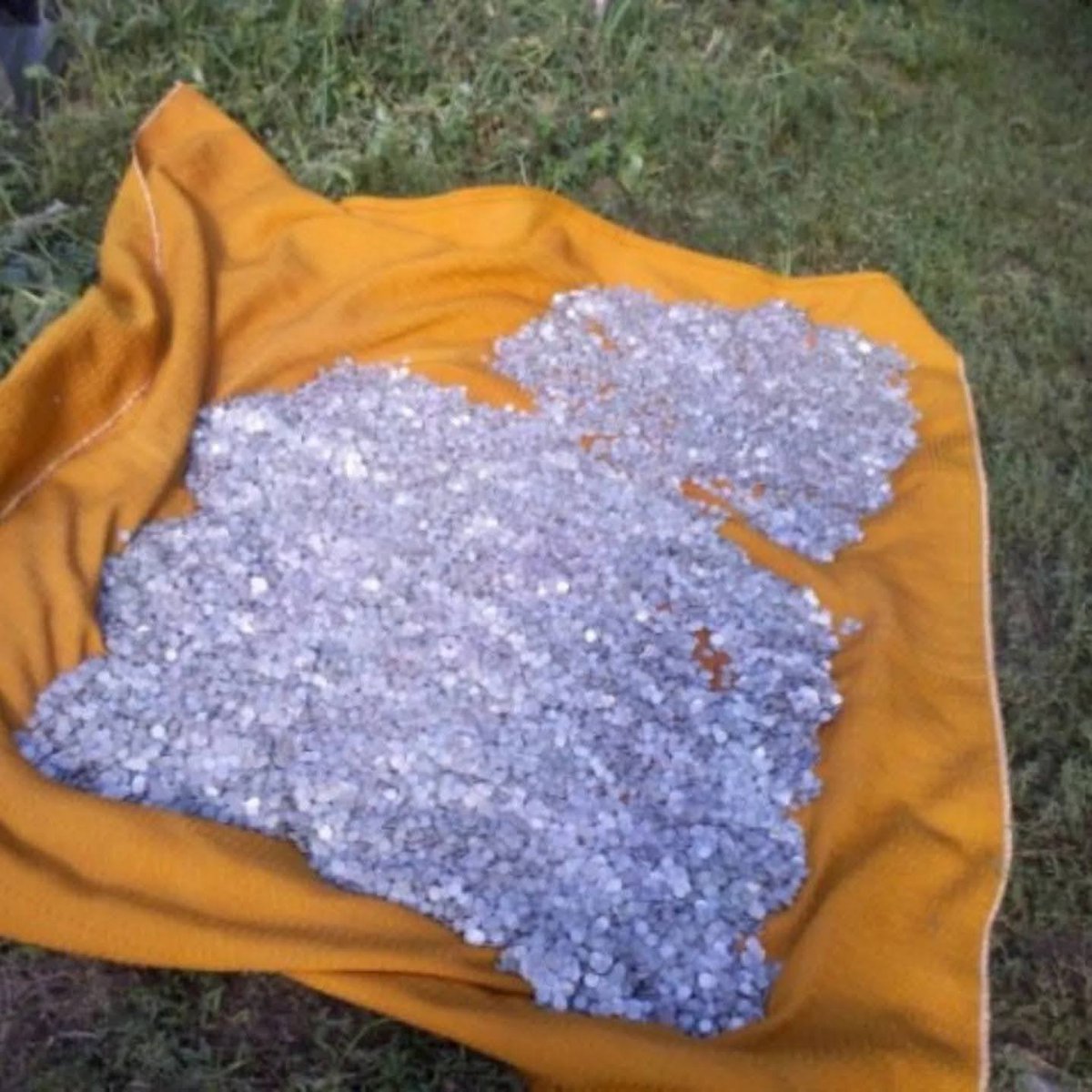 @_Treasure_Kings_ tweet media