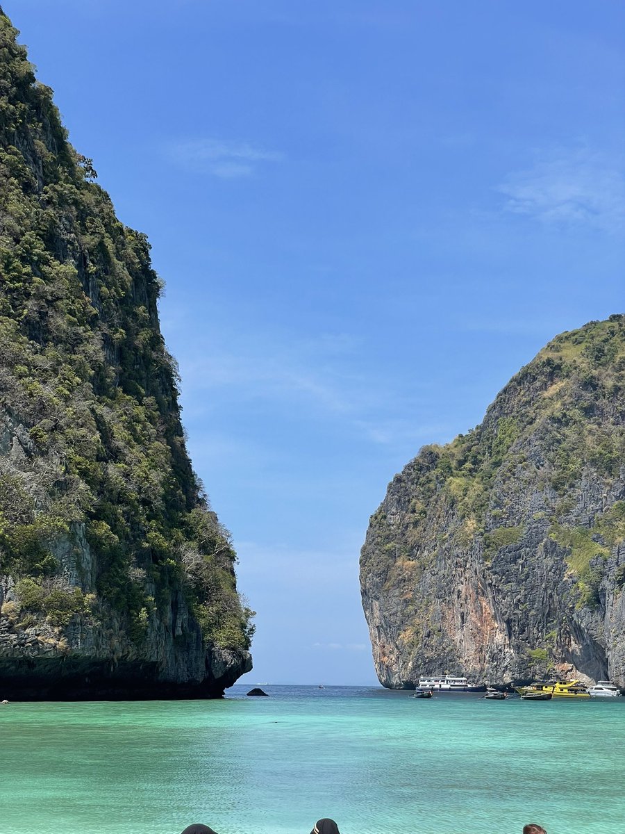 𝐏𝐞𝐭𝐞𝐫 tweet media