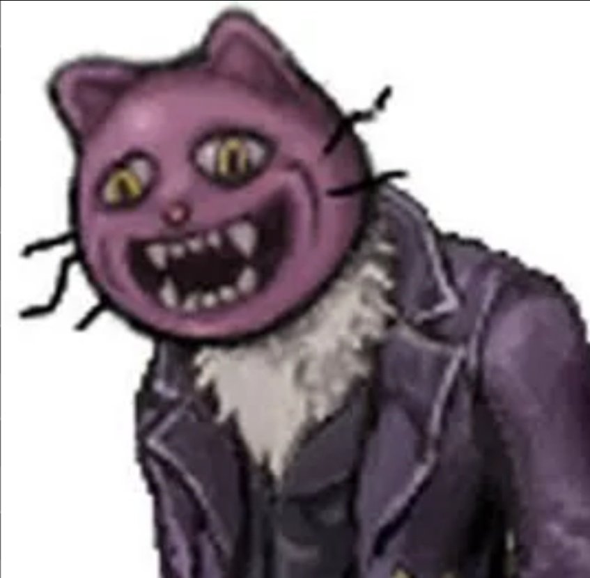 lucell 🇨🇱 tweet media