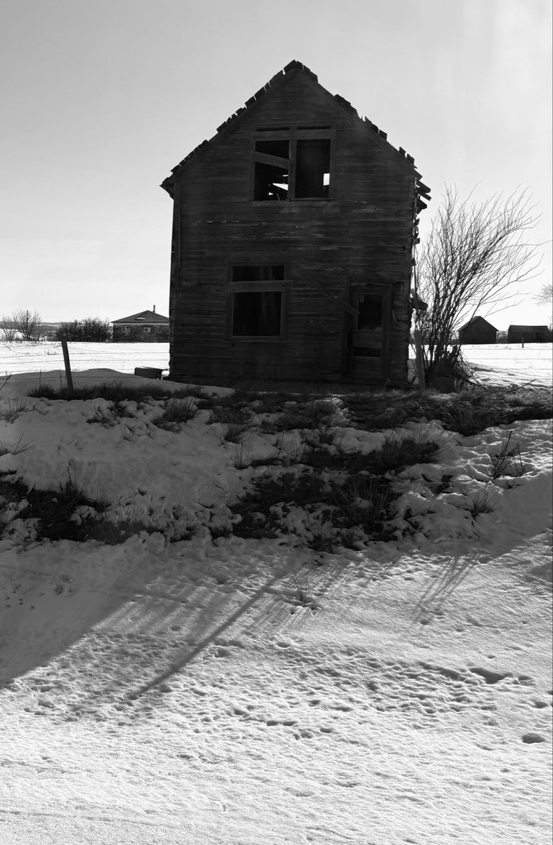 Dylan Bertholet tweet media