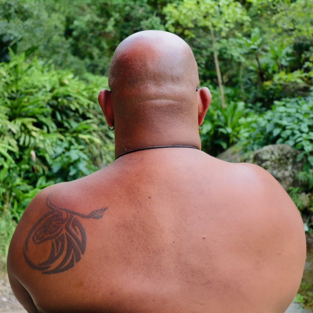 Suddy2005's tweet photo. Island vibing https://t.co/68oxVgx8hj