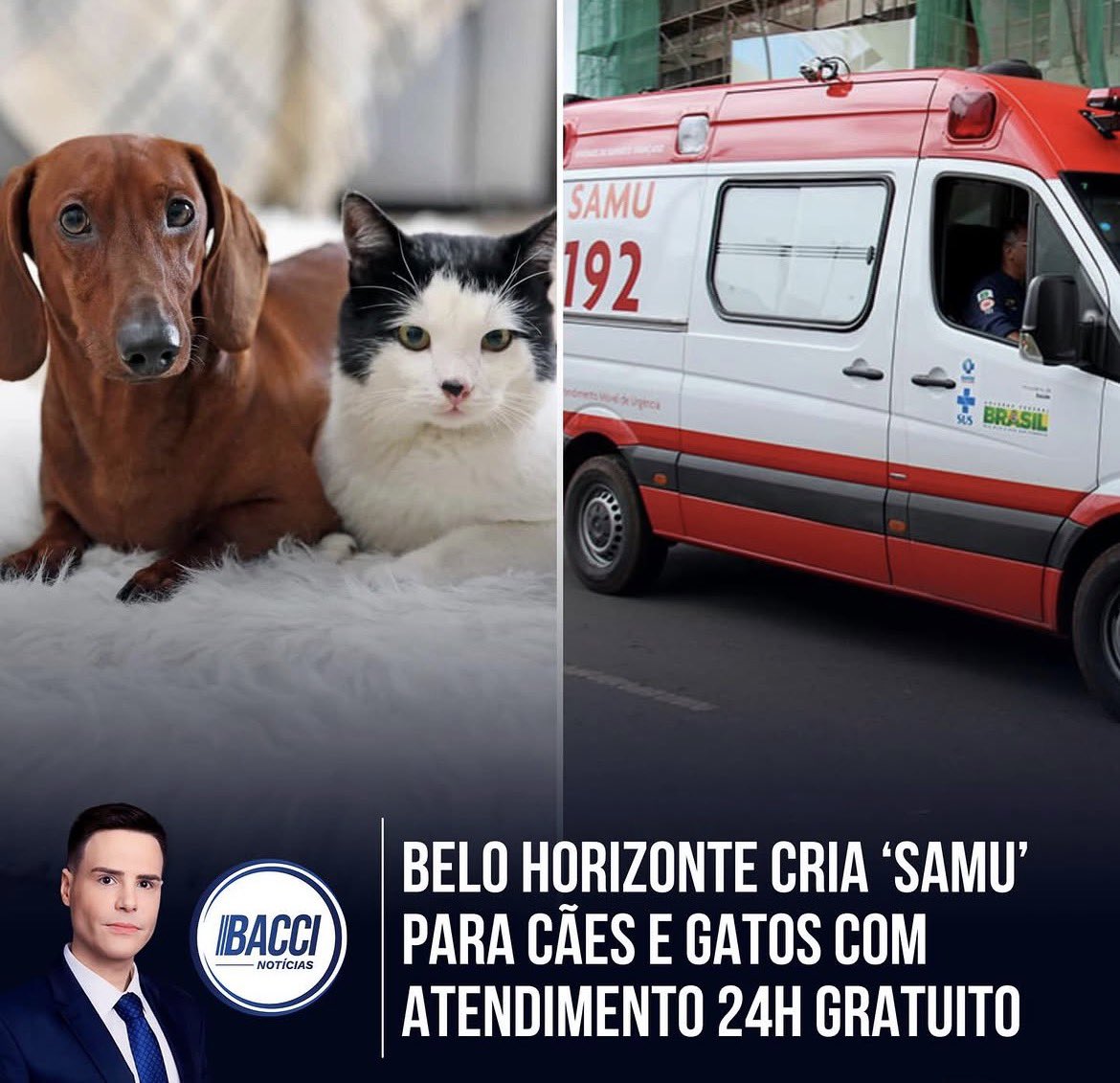 Como Tanka o Bostil??? tweet media