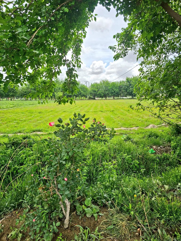 𝙍 𝘼𝙝𝙢𝙙𝙯𝙖𝙞 tweet media