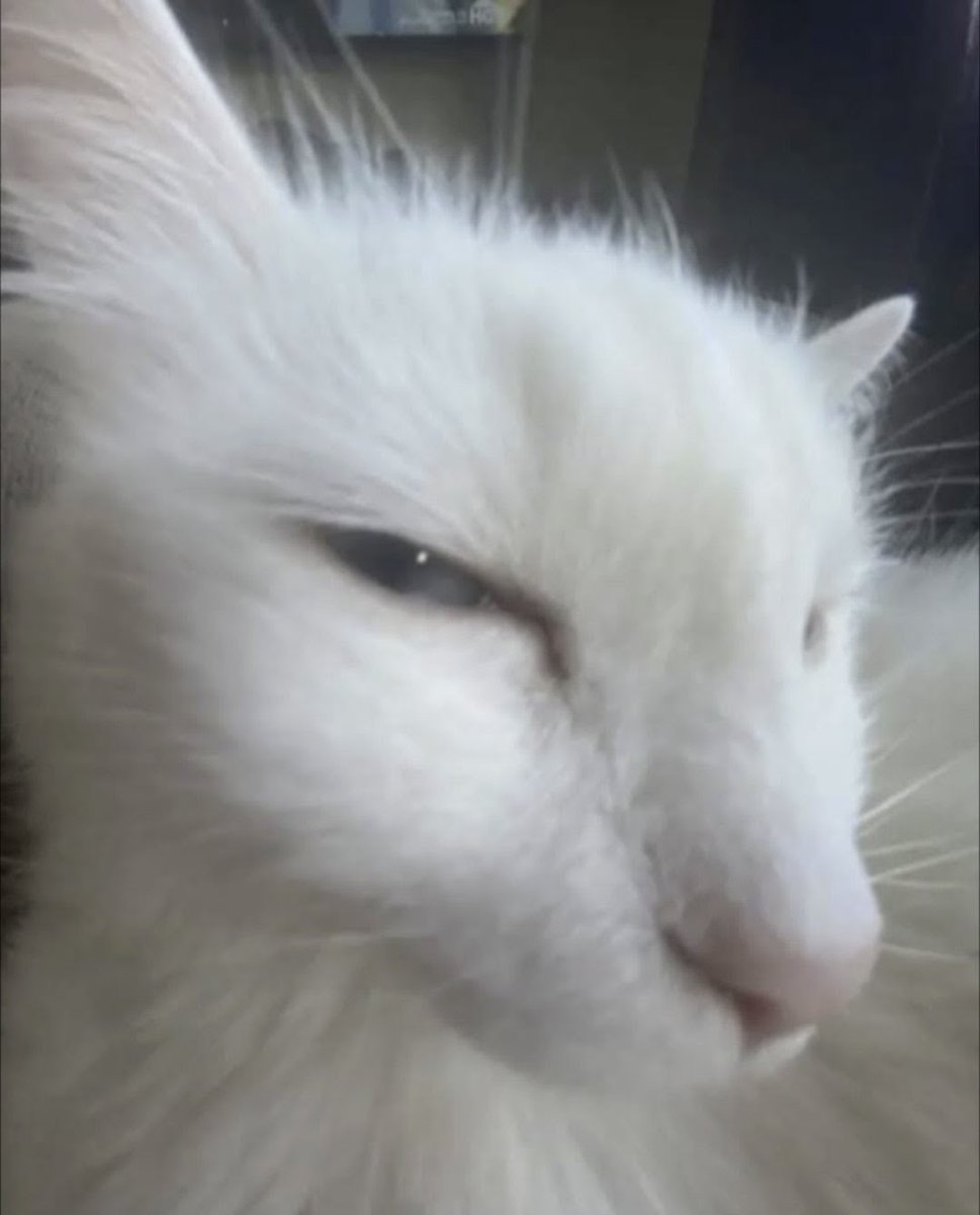 R04D_K1LL tweet media