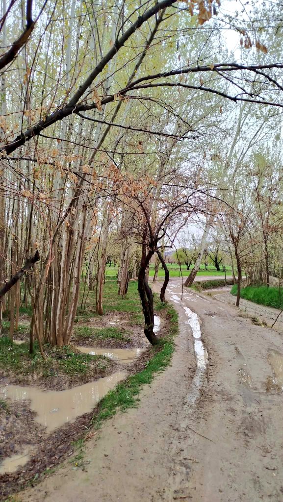 𝙍 𝘼𝙝𝙢𝙙𝙯𝙖𝙞 tweet media