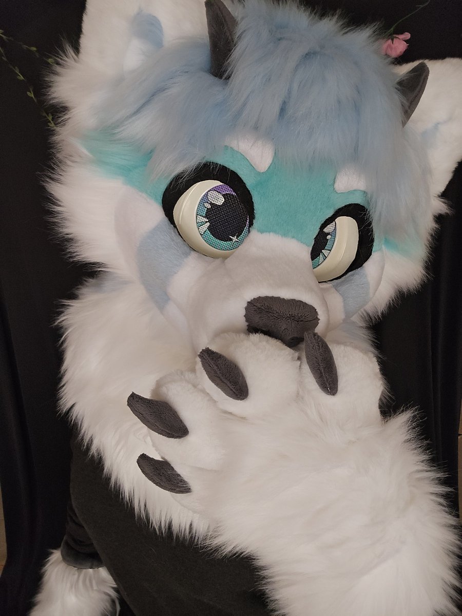 Suitchees (Tienda Furry) tweet media