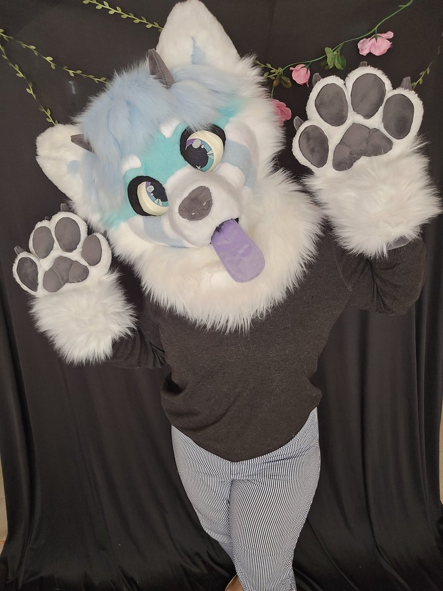 Suitchees (Tienda Furry) tweet media