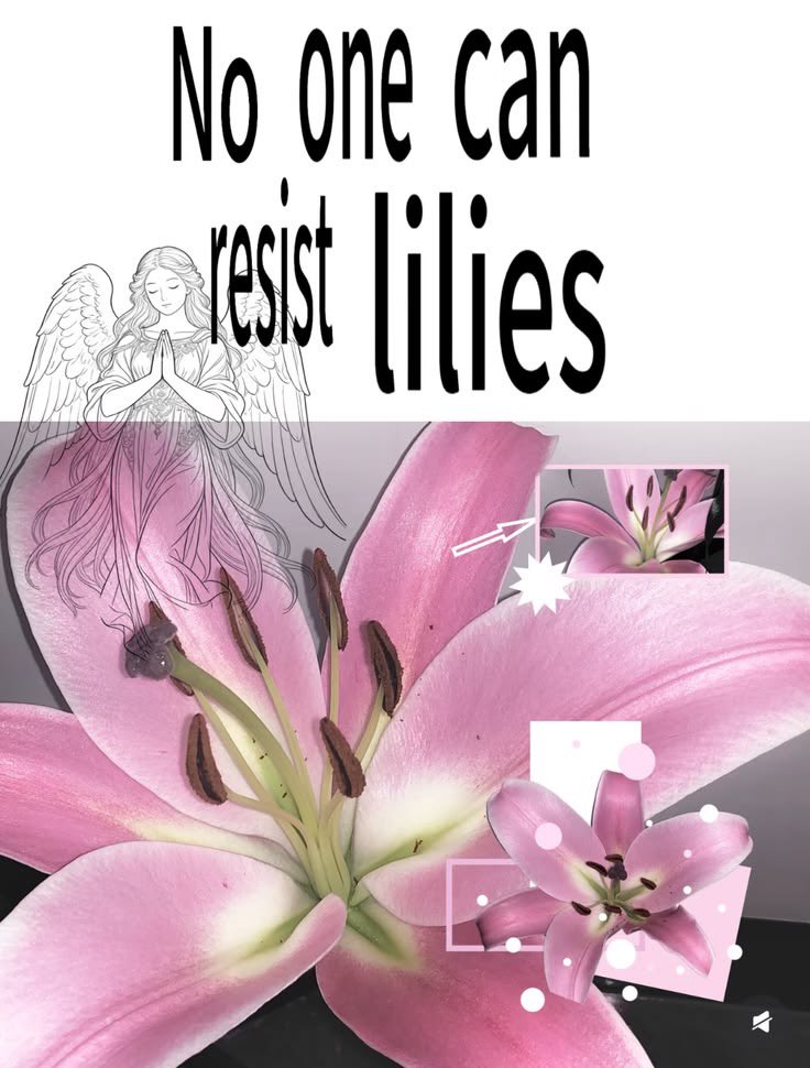 𓈒 ࣪ ˖ tweet media