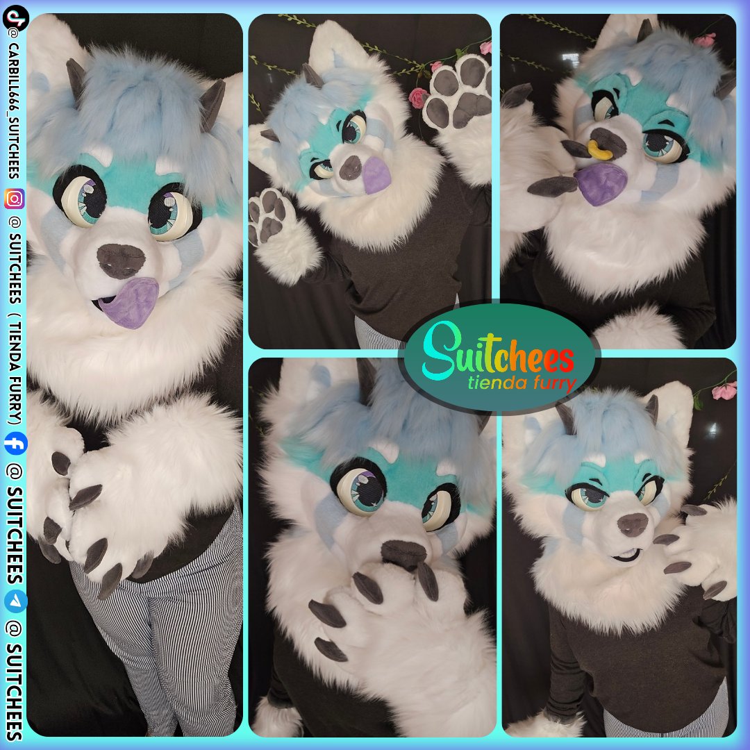 Suitchees (Tienda Furry) tweet media