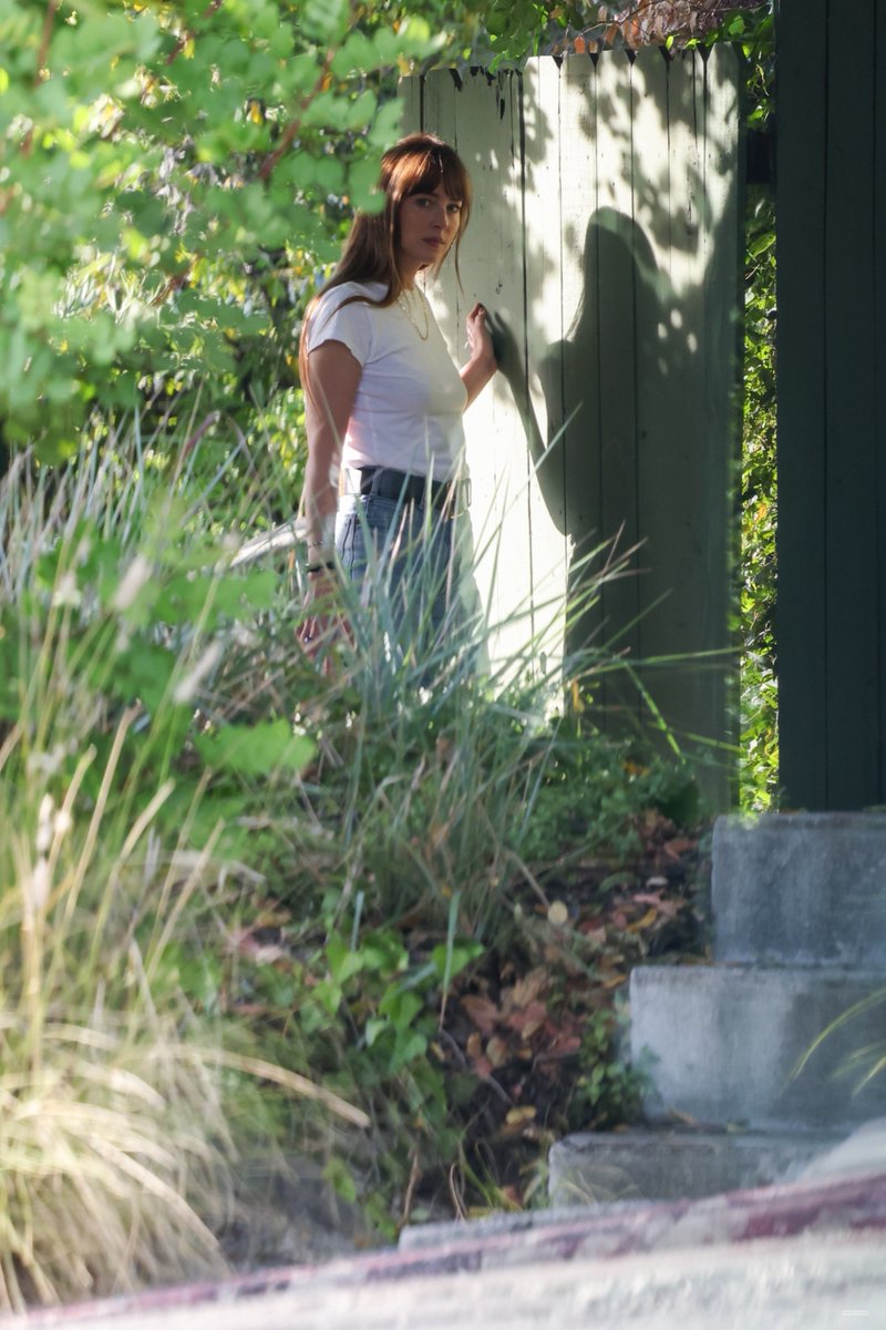 Dakota Johnson Media tweet media