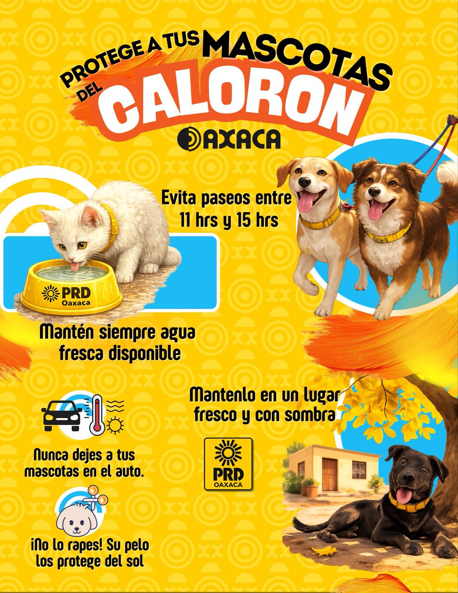 ☀️ En el #PRDOaxaca creemos en una comunidad que cuida, respeta y protege la vida en todas sus formas. Porque el bienestar también empieza en casa… y ellos son parte de la familia. 🐶

En esta temporada de calor, no olvidemos que nuestras mascotas.

#Oaxaca   #NuevosComienzos