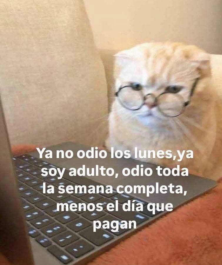 ANIMALITOS SANADORES tweet media