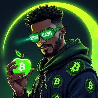 Did You Know Tuesday: Kallisti
It's Did You Know Tuesday! Today we celebrate <a href="/kzKallisti/">Kallisti.cash 🍏</a>, the talented cypherpunk lead developer behind Selene Wallet - one of the fastest and most user-friendly mobile wallets for Bitcoin Cash. 💚

Since joining the BCH community as a developer in
