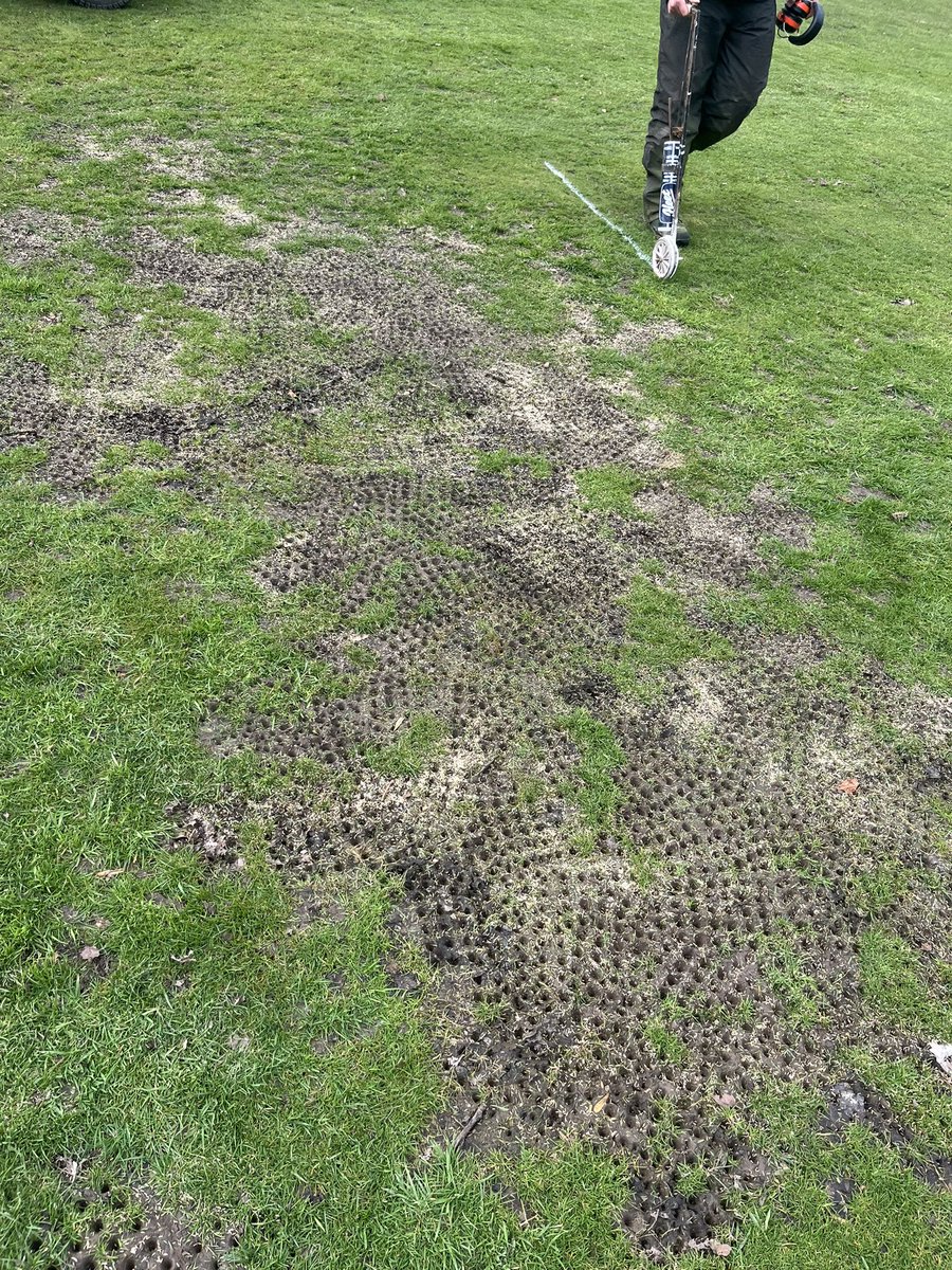 Thornton greens tweet media