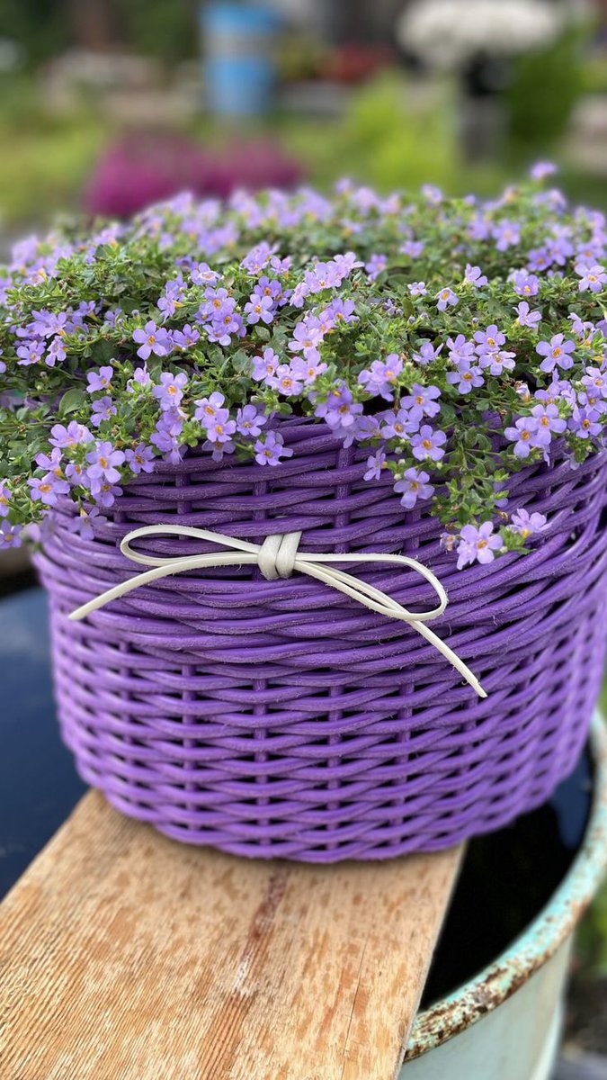 صمتي حكاية tweet media