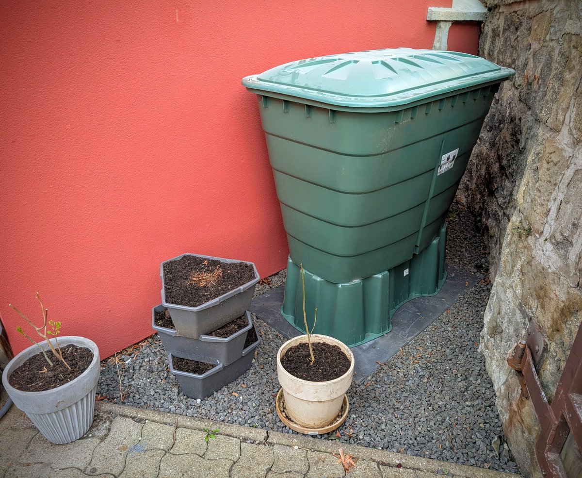 Rundmaus tweet media