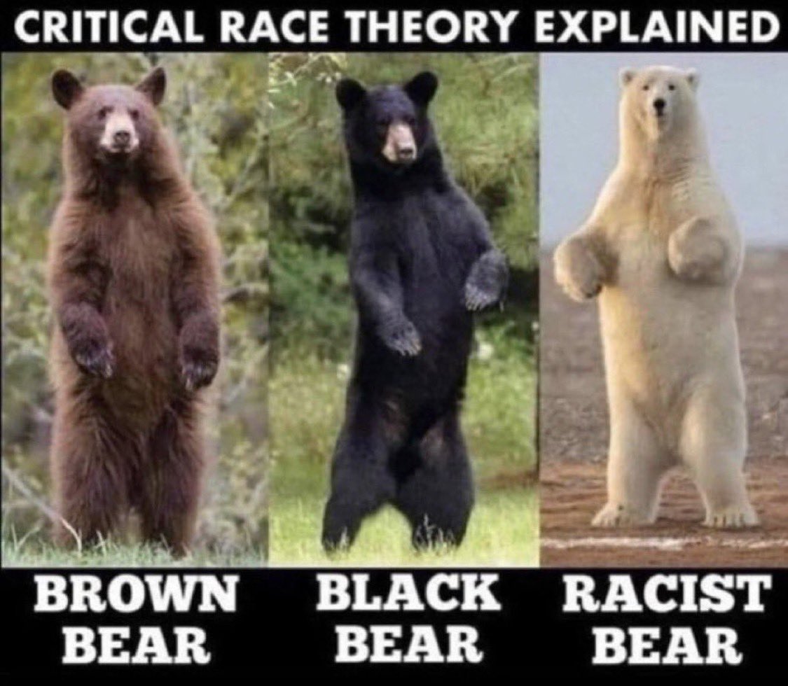 Debbie Collin tweet media