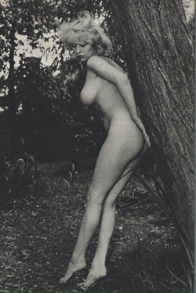 Spin_Griz's tweet photo. #pinupmodel https://t.co/R6arFlpZHm