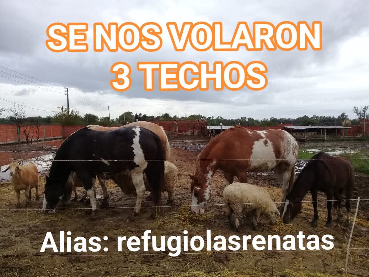 Refugio Las Renatas tweet media