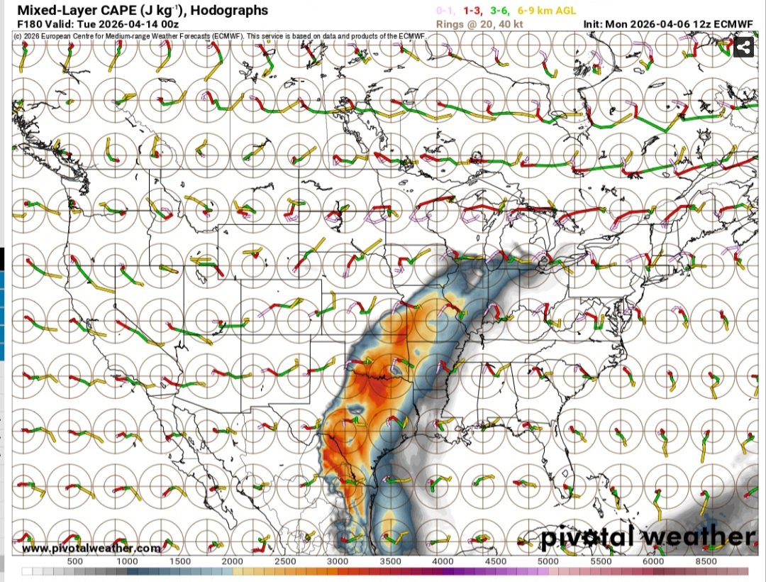 PATRICK_MOWX tweet media