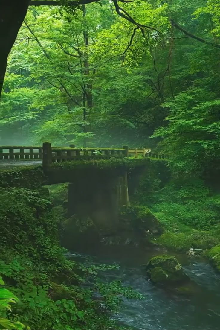 Earth 🍃 tweet media