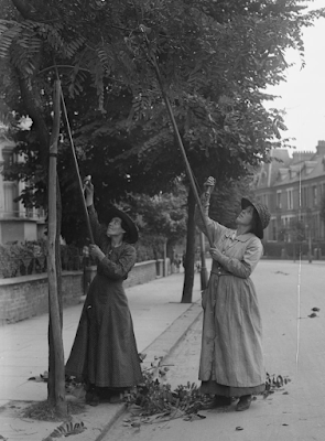 skcgs1's tweet image. Saw Off a Branch, or Bark Up the Wrong Tree? skcgs.blogspot.com/2026/04/saw-of…

#Pruning #Sources #DuplicatePprofiles #Records #Ancestry #FamilySearch #FamilyTreeMaker  #Gramps #MyHeritage #LegacyFamilyTree  #RootsMagic  #Wikitree #FamilyTreeAnalyzer