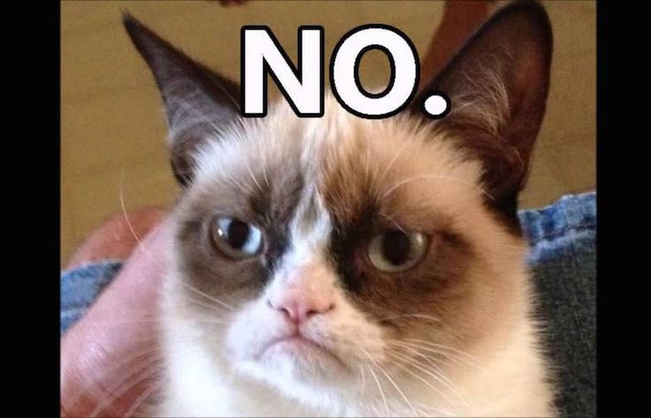 Grumpy Cat Parody tweet media